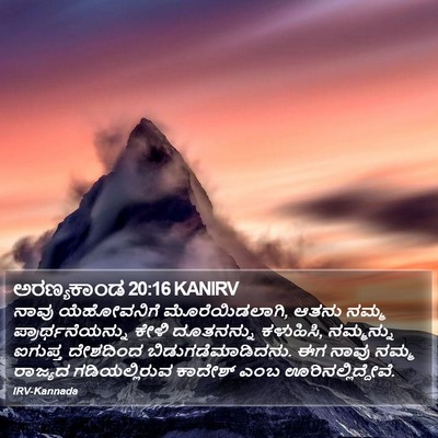 ಅರಣ್ಯಕಾಂಡ 20:16 KANIRV Bible Verse Image