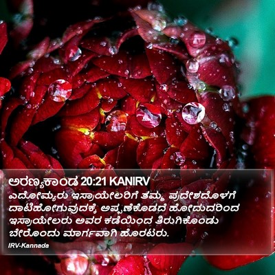 ಅರಣ್ಯಕಾಂಡ 20:21 KANIRV Bible Verse Image