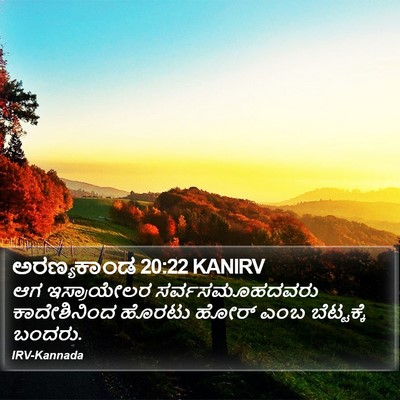 ಅರಣ್ಯಕಾಂಡ 20:22 KANIRV Bible Verse Image