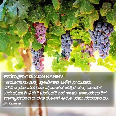 ಅರಣ್ಯಕಾಂಡ 20:24 KANIRV Bible Verse Image