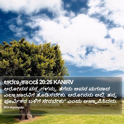 ಅರಣ್ಯಕಾಂಡ 20:26 KANIRV Bible Verse Image