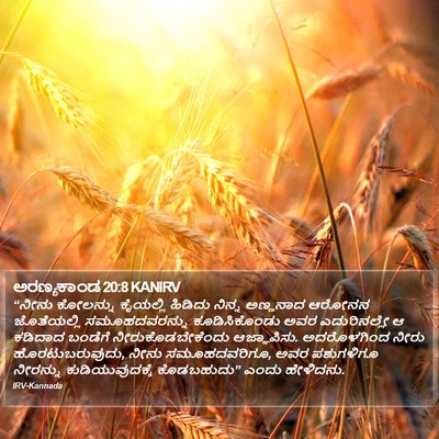ಅರಣ್ಯಕಾಂಡ 20:8 KANIRV Bible Verse Image