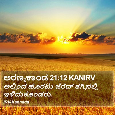 ಅರಣ್ಯಕಾಂಡ 21:12 KANIRV Bible Verse Image
