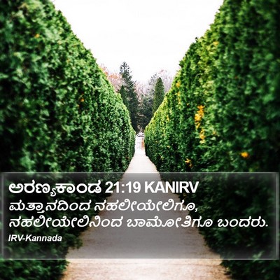 ಅರಣ್ಯಕಾಂಡ 21:19 KANIRV Bible Verse Image