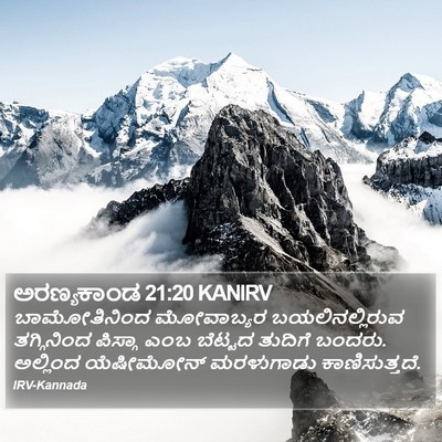 ಅರಣ್ಯಕಾಂಡ 21:20 KANIRV Bible Verse Image