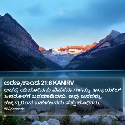 ಅರಣ್ಯಕಾಂಡ 21:6 KANIRV Bible Verse Image