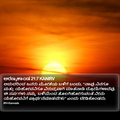 ಅರಣ್ಯಕಾಂಡ 21:7 KANIRV Bible Verse Image