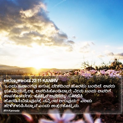 ಅರಣ್ಯಕಾಂಡ 22:11 KANIRV Bible Verse Image