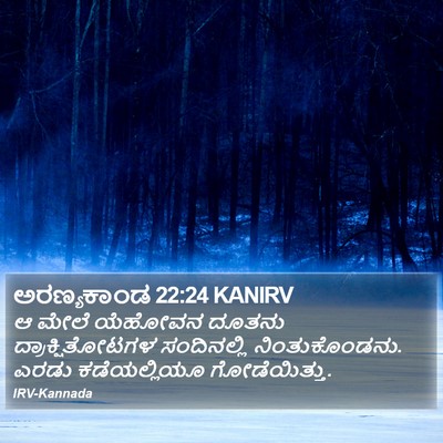 ಅರಣ್ಯಕಾಂಡ 22:24 KANIRV Bible Verse Image