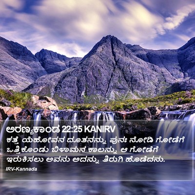ಅರಣ್ಯಕಾಂಡ 22:25 KANIRV Bible Verse Image