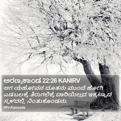 ಅರಣ್ಯಕಾಂಡ 22:26 KANIRV Bible Verse Image