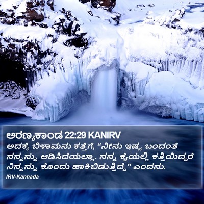 ಅರಣ್ಯಕಾಂಡ 22:29 KANIRV Bible Verse Image