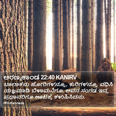 ಅರಣ್ಯಕಾಂಡ 22:40 KANIRV Bible Verse Image