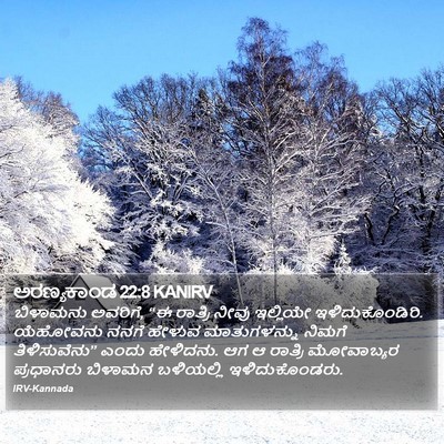 ಅರಣ್ಯಕಾಂಡ 22:8 KANIRV Bible Verse Image