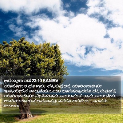 ಅರಣ್ಯಕಾಂಡ 23:10 KANIRV Bible Verse Image