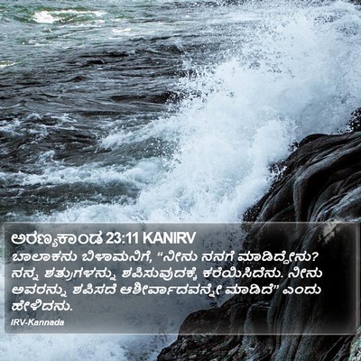 ಅರಣ್ಯಕಾಂಡ 23:11 KANIRV Bible Verse Image