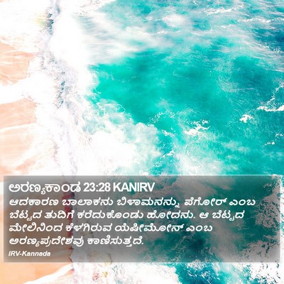 ಅರಣ್ಯಕಾಂಡ 23:28 KANIRV Bible Verse Image