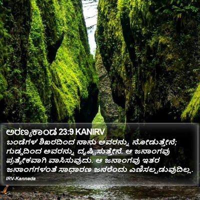ಅರಣ್ಯಕಾಂಡ 23:9 KANIRV Bible Verse Image