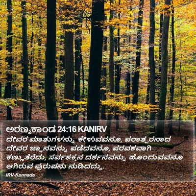 ಅರಣ್ಯಕಾಂಡ 24:16 KANIRV Bible Verse Image