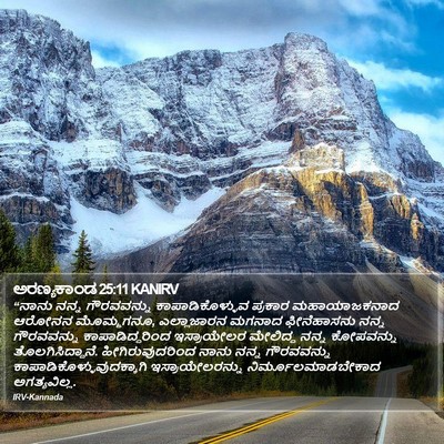 ಅರಣ್ಯಕಾಂಡ 25:11 KANIRV Bible Verse Image