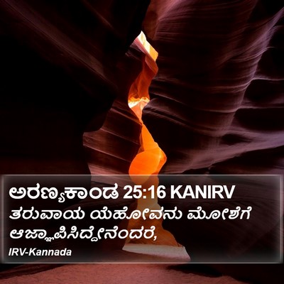 ಅರಣ್ಯಕಾಂಡ 25:16 KANIRV Bible Verse Image