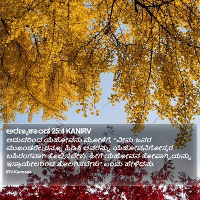 ಅರಣ್ಯಕಾಂಡ 25:4 KANIRV Bible Verse Image