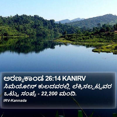 ಅರಣ್ಯಕಾಂಡ 26:14 KANIRV Bible Verse Image