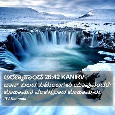 ಅರಣ್ಯಕಾಂಡ 26:42 KANIRV Bible Verse Image