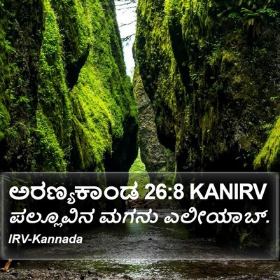ಅರಣ್ಯಕಾಂಡ 26:8 KANIRV Bible Verse Image