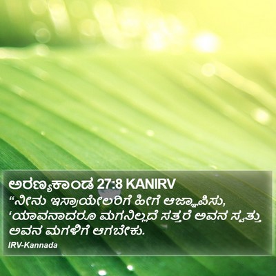 ಅರಣ್ಯಕಾಂಡ 27:8 KANIRV Bible Verse Image