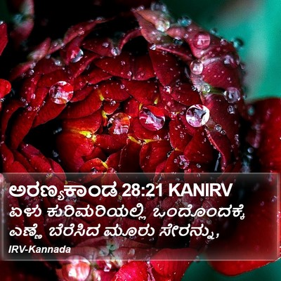 ಅರಣ್ಯಕಾಂಡ 28:21 KANIRV Bible Verse Image