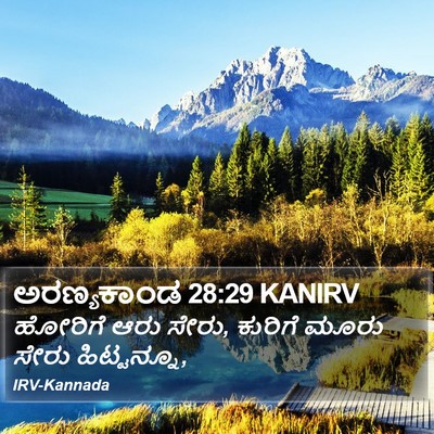 ಅರಣ್ಯಕಾಂಡ 28:29 KANIRV Bible Verse Image