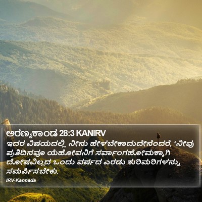 ಅರಣ್ಯಕಾಂಡ 28:3 KANIRV Bible Verse Image