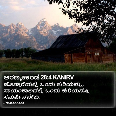 ಅರಣ್ಯಕಾಂಡ 28:4 KANIRV Bible Verse Image