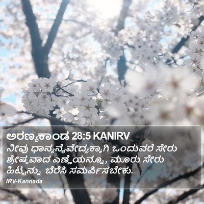 ಅರಣ್ಯಕಾಂಡ 28:5 KANIRV Bible Verse Image