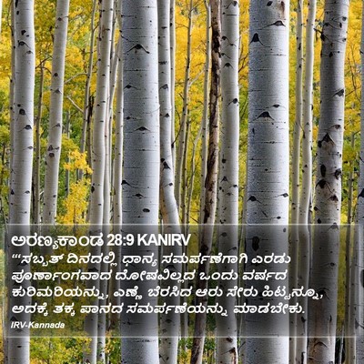 ಅರಣ್ಯಕಾಂಡ 28:9 KANIRV Bible Verse Image