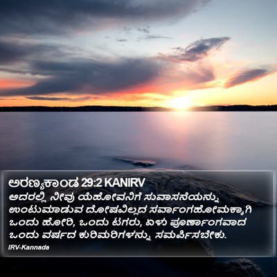 ಅರಣ್ಯಕಾಂಡ 29:2 KANIRV Bible Verse Image
