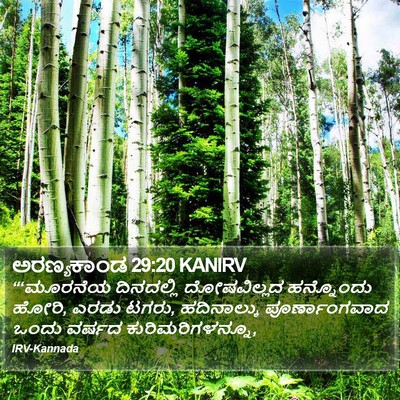 ಅರಣ್ಯಕಾಂಡ 29:20 KANIRV Bible Verse Image