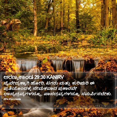 ಅರಣ್ಯಕಾಂಡ 29:30 KANIRV Bible Verse Image