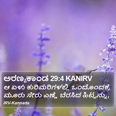 ಅರಣ್ಯಕಾಂಡ 29:4 KANIRV Bible Verse Image