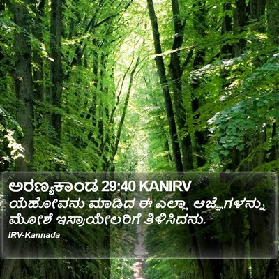ಅರಣ್ಯಕಾಂಡ 29:40 KANIRV Bible Verse Image