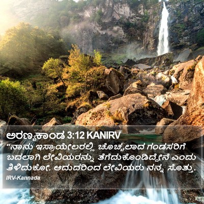 ಅರಣ್ಯಕಾಂಡ 3:12 KANIRV Bible Verse Image