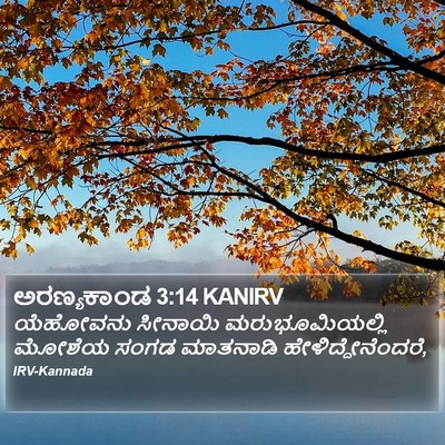 ಅರಣ್ಯಕಾಂಡ 3:14 KANIRV Bible Verse Image
