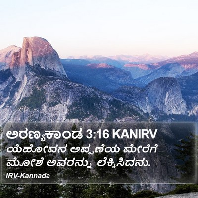 ಅರಣ್ಯಕಾಂಡ 3:16 KANIRV Bible Verse Image