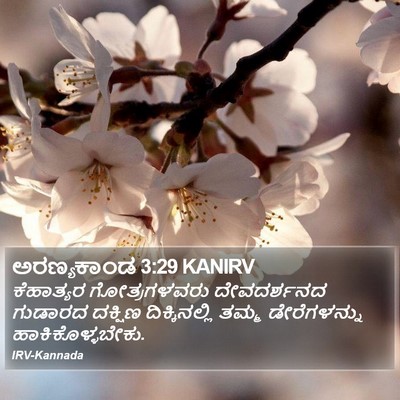 ಅರಣ್ಯಕಾಂಡ 3:29 KANIRV Bible Verse Image