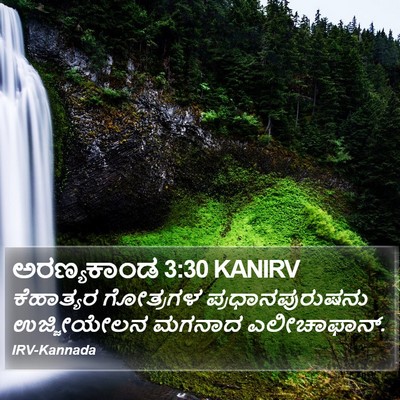 ಅರಣ್ಯಕಾಂಡ 3:30 KANIRV Bible Verse Image