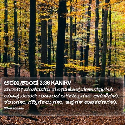 ಅರಣ್ಯಕಾಂಡ 3:36 KANIRV Bible Verse Image