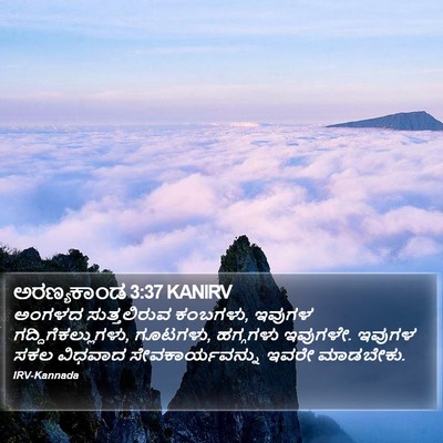 ಅರಣ್ಯಕಾಂಡ 3:37 KANIRV Bible Verse Image