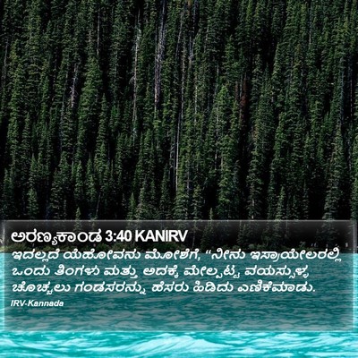 ಅರಣ್ಯಕಾಂಡ 3:40 KANIRV Bible Verse Image
