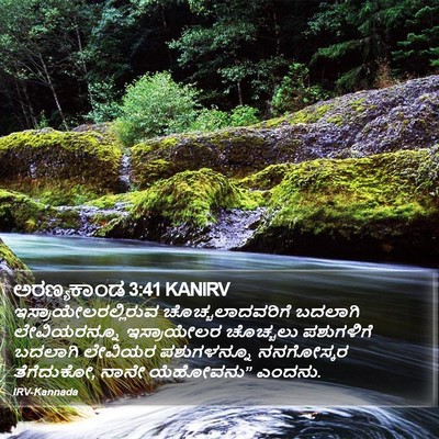 ಅರಣ್ಯಕಾಂಡ 3:41 KANIRV Bible Verse Image